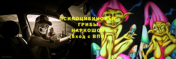 индика Балабаново
