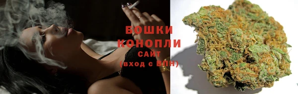 индика Балабаново