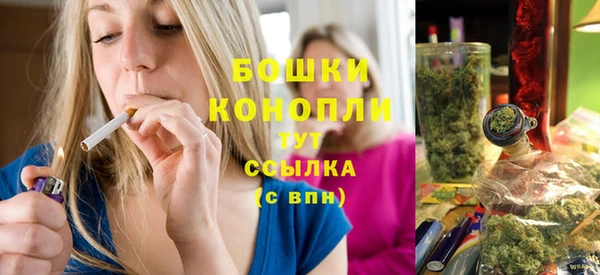 индика Балабаново