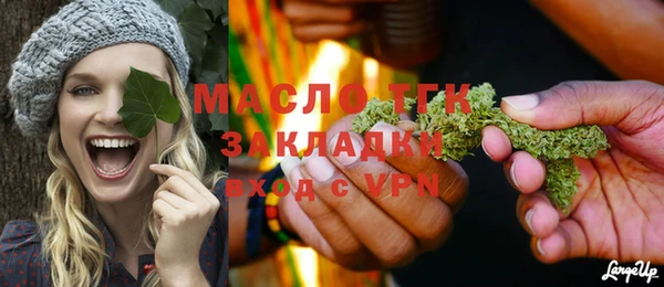 индика Балабаново