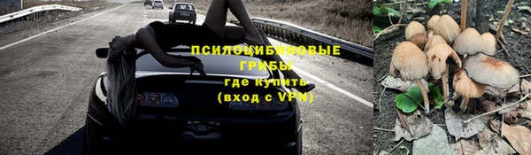 мескалин Баксан